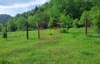 BEREVOIESTI (AG) SE VINDE TEREN 834 MP IN zona Pastravaria Rausor - 2
