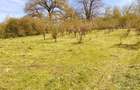 Vand teren sat Noul Roman jud Sibiu 1585 mp - 2