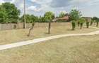 Teren intravilan de vanzare 1000 mp, Comuna Unirea, Calara?i langa parc, cu pomi fructiferi, pu? - 2