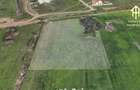 Teren de vanzare in Giroc - 4
