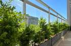 Inchiriere I Penthouse Loft de 3 camere | Lumina, lini?te ?i spa?iu - 4