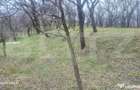 TEREN INTRAVILAN VEDERE PANORAMICA La 2 km de Manastirea CRA - 15