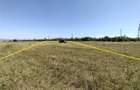 Nicolint, 2 Terenuri Extravilane, Arabil, 1.45 Hectare