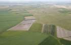 Teren arabil de 40 hectare in Zarand - 4