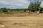 Teren extravilan 1800 mp Avrig - 1