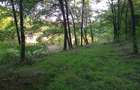 Teren de 2700 mp, în Coșești - 4
