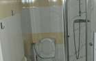 Apartament 2 camere zona Terezian - 2
