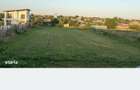 Vand teren corbu 5000m2 23 - 3