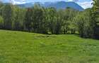 Bran Sohodol,5783 mp,P+E+M-Ideal pensiune /proiect turistic,Comision0% - 9