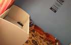 Apartament 2 camere de vanzare - Timisoara str Bujorilor nr 160
