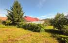 Casa de vanzare, Voiniceni, 10 arii, pivnita, 2 bucatarii, spre Unirii - 7