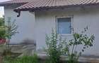 Doua case ,2000 mp teren,Slatioarele,Babana,Arges - 1