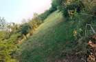Teren intravilan 1260m Magurele Prahova