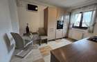 Proprietar, inchiriez apartament cu o camera, 48 mp, Podul de Fier - 1