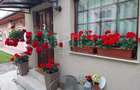 Casa 3 camere de vanzare in Centru Oradea, Oradea