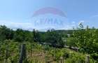 Teren 2,800mp de Vanzare - Crihan(Magura) - Bacau