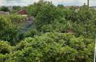 Apartament 3 Camere/Trei Stejari - 11
