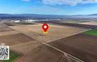 Teren 32,5 Ha Prejmer Brașov – Zona Nod Rutier A13 / DN10