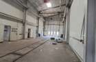 Distribuție /productie 3800 mp -constructie /14.000 mp curte. - 5