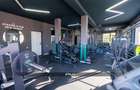 FITNESS-AFACERE DE VANZARE IN BAIA MARE-VAD COMERCIAL - 3