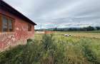 Aproximativ4 ha teren | Casa batraneasca | Beiusele - Bihor - 12