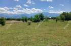 Teren intravilan 5000 mp pe Valea Avrigului, Sibiu - 7