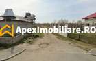 Teren intravilan de vanzare Cornetu IF | ApexImobiliare.ro - 2