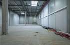 Spatiu Industrial - 10000 mp - Logistica - Productie - Depozitare - 6