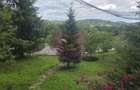Cabana cu 5 camere de vanzare in Provita - 10