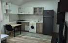 Pitesti- Proprietate destinata inchirierii, 9 locatii renovate 2025-2026! - 4