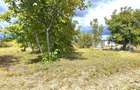 Teren intravilan Manastirea, Buftea, 500mp sau 877mp, 0% comision - 11