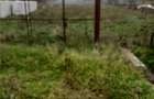 RECO Teren de Vanzare in Inand 1360 MP - 1