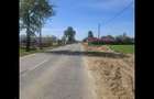 Teren situat in Podu Brosteni, Arges - 2