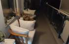 Apartament premium 3 camere New Town Residence