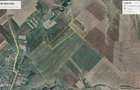 Vanzare Inchiriere teren pa?une 59 Ha-Ideal Parc Energetic