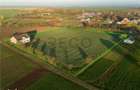 RECO casa Inand la rosu cu teren imens - 5