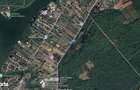 9.000 mp pe malul Lacului Snagov un loc pentru visuri mari - 1