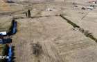 Pepiniera in Bucovina cu teren 2 hectare - 10
