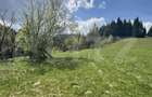 Teren in Vatra Dornei, str Rosu, 8450 mp, extravilan + intravilan - 9