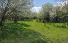 Vand teren intravilan - 4