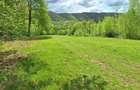 Vand teren extravilan 4.6 ha sau dezmembrez - 5