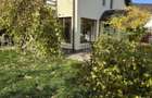 Casa Preluca Neamt din caramida - 7