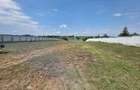 Teren de inchiriat 5000 mp Ciofliceni-Snagov -deschidere lac 36 mp - 1
