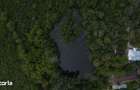Domeniu cu Lac,Izvoare naturale ?i Insula,Giurgiu,Vanatorii Mici,6,3HA - 1