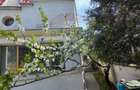 Casa interbelica de vanzare metrou 1 Mai, cu potential - 20
