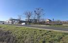 Teren intravilan 1000mp - 2