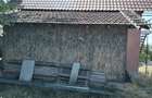 Casă cu 3 camere cu Teren 2700 Mp în Vrancea - 4