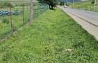 Teren intravilan - pret 29500 euro - 4