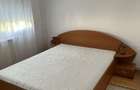 Apartament cu 2 camere, complet mobilat si utilat, renovat de inchiriat - 4