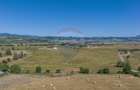 Teren Bran -Sohodol, Strada La mesteceni, 6900mp - 7